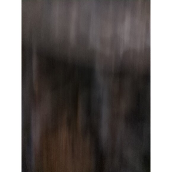 Vintage Forever 21 TOP Med Black Sheer Floral Fringe Whimsey goth Coquette - Picture 5 of 11